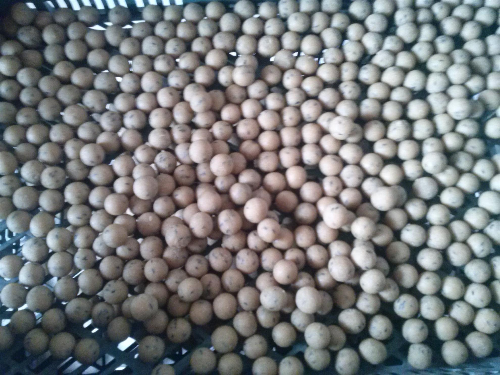 Cuibusorul meu de nebunii :-) - cam00026.jpg